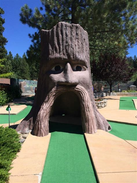 Setting foot on the enchanted greens: Counting the cost of magic carpet golf